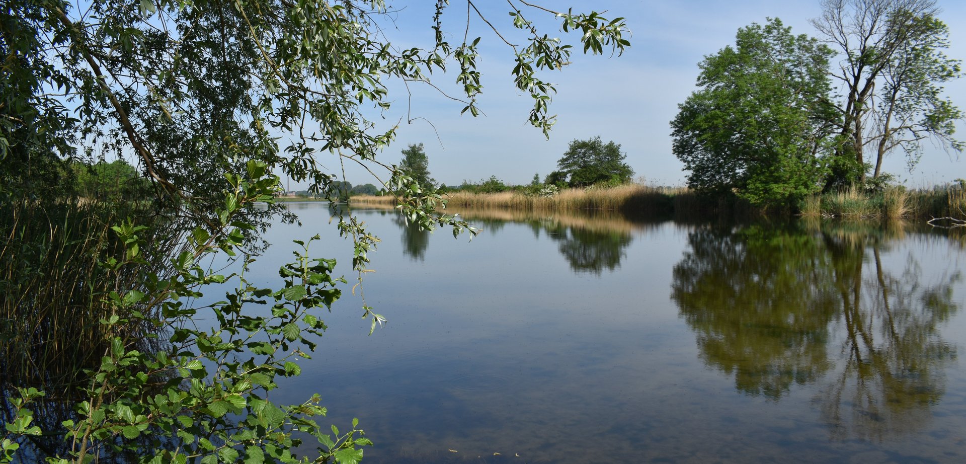 ein See mit einem Feld und angrenzenden Bäumen